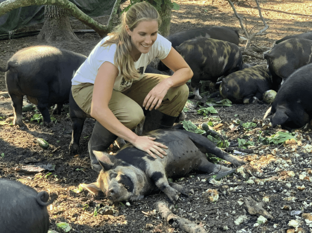 Jo, the pig farmer and her pigs surrounded by the food scraps collected from local restaurants.