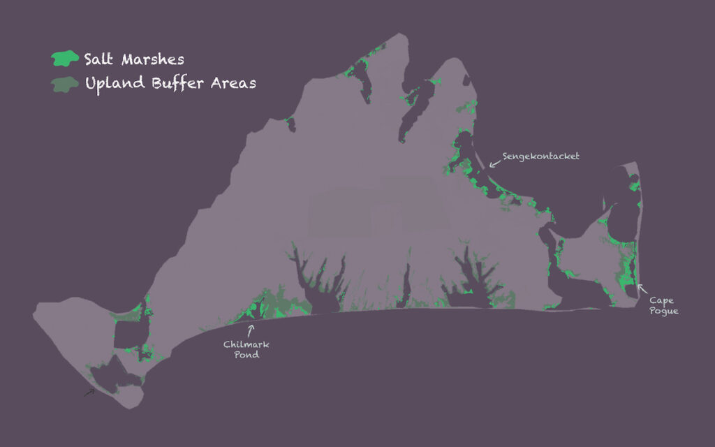 Map of salt marshes on Martha's Vineyard.
