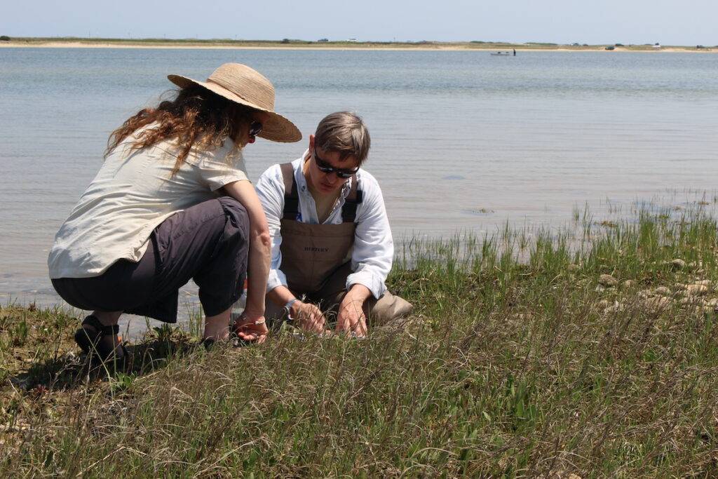 Susan Bellancampi with a volunteer on Sengekontacket salt marsh, Martha's Vineyard.