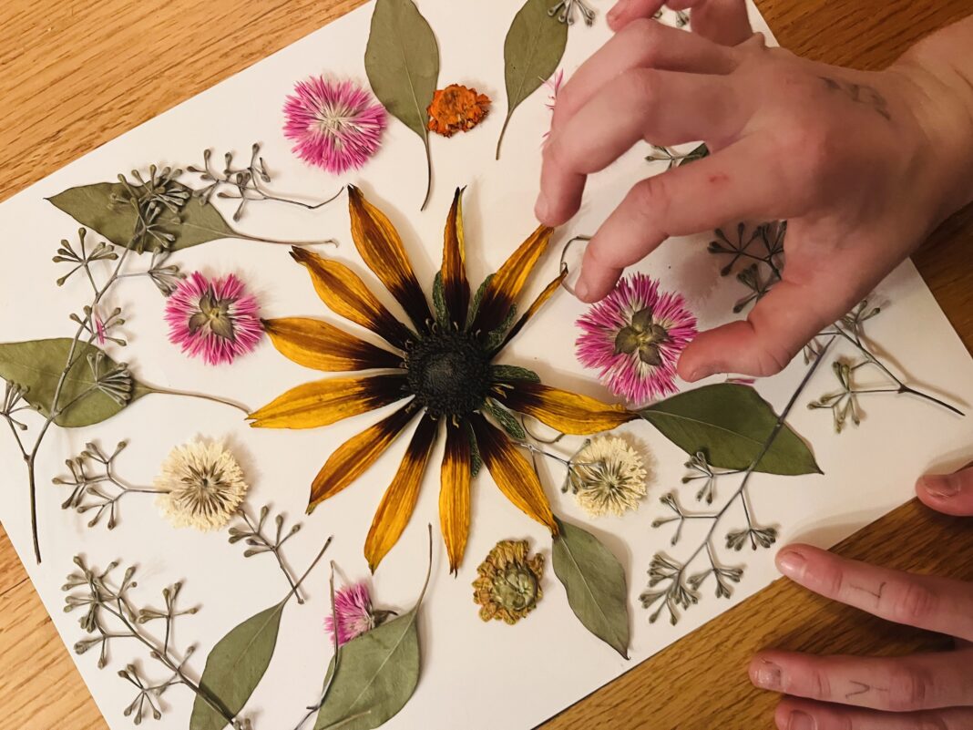 child's hand placing dried flower on paper with other dried flowers and leaves