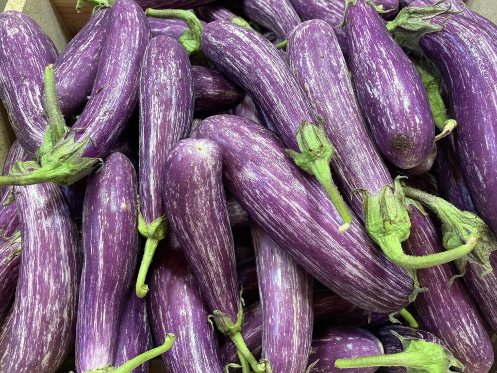 bunch of purple eggplant